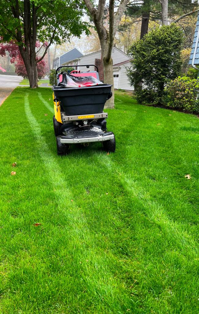 Photo of Lawn Mowing