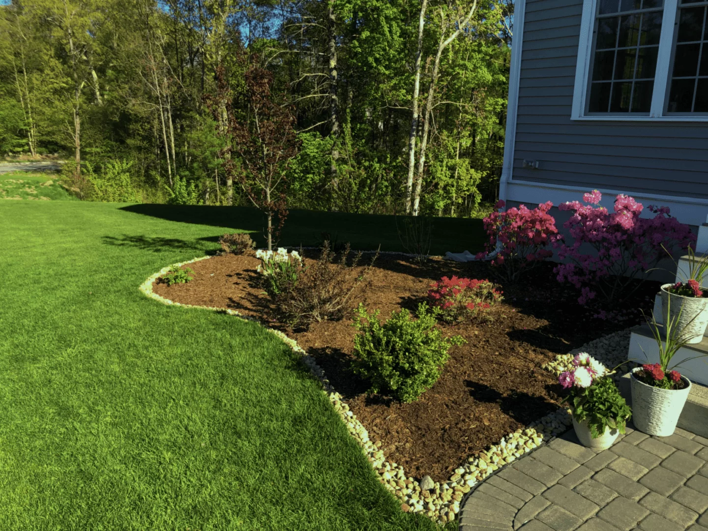 Header Background of Residential Landscaping Garden Bed