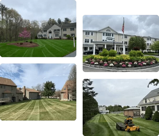 collage picture of landscape projects